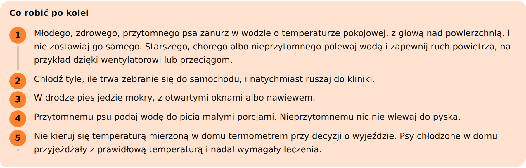 08-plansza-co-robic-po-kolei
