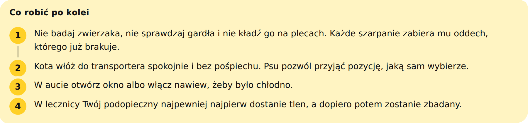 05-oddech-poza